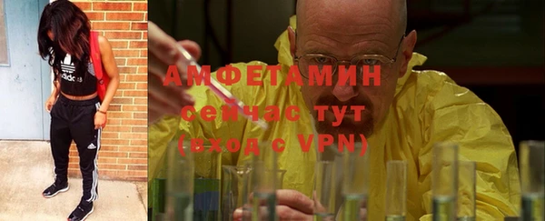 индика Верея