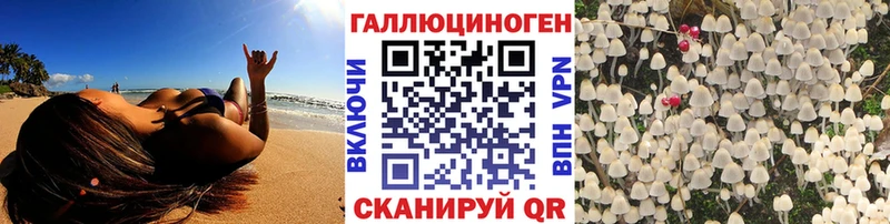 Купить закладки  Княгинино  Псилоцибиновые грибы Cubensis 
