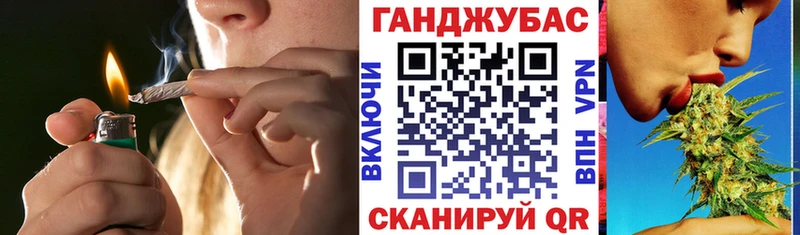 Купить закладки  Княгинино  Бошки марихуана тримм 